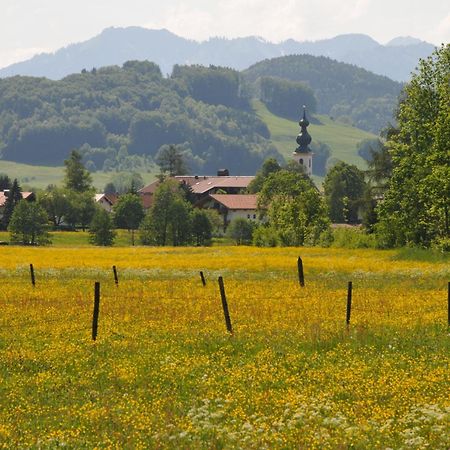 Ferienwohnungen Im Alpengaestehaus Marzoll - באד רייכנהל מראה חיצוני תמונה